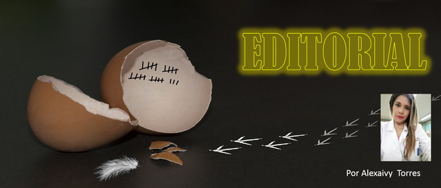editorial 4.png