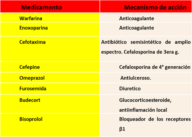 ficha.png