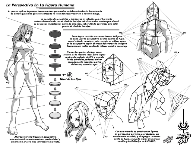 La Perspectiva En La Figura Humana.png
