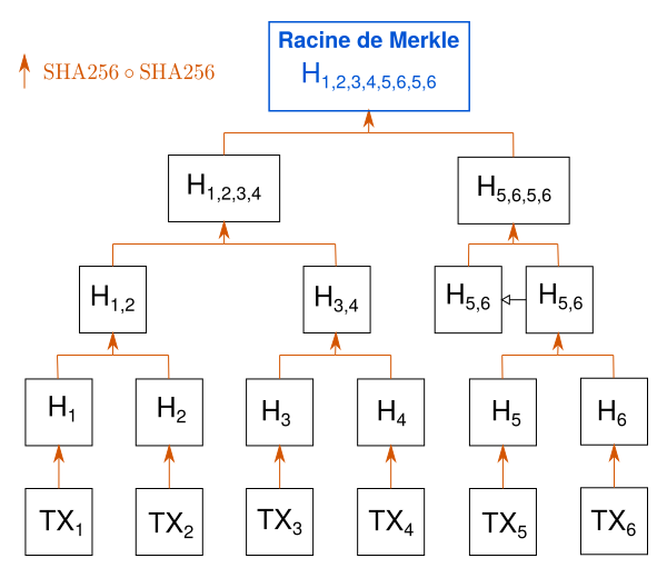 Arbre de Merkel