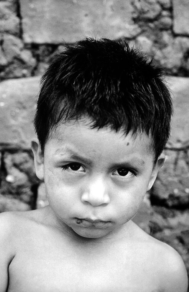 800px-Chagoma.jpg