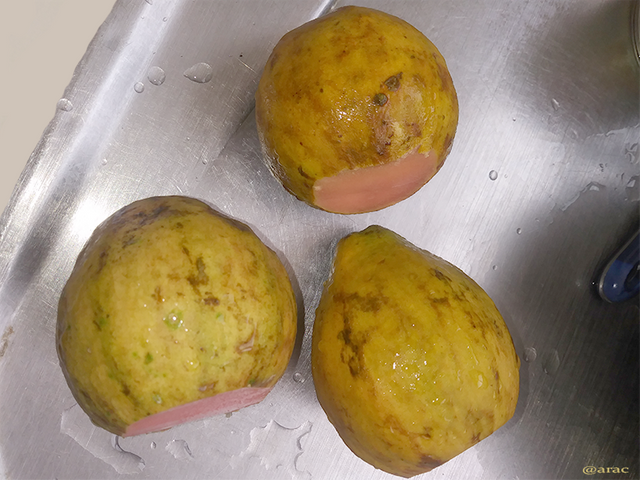 Guayaba.png