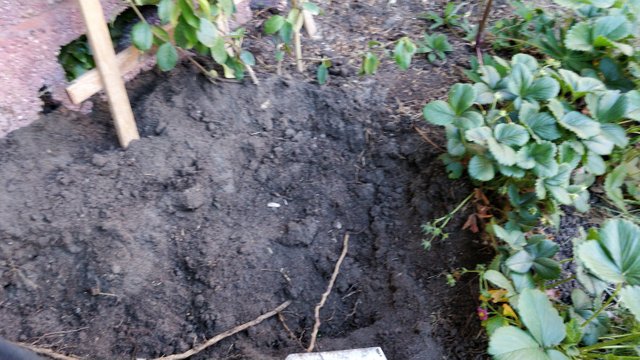 IMG_20200517_173150.jpg