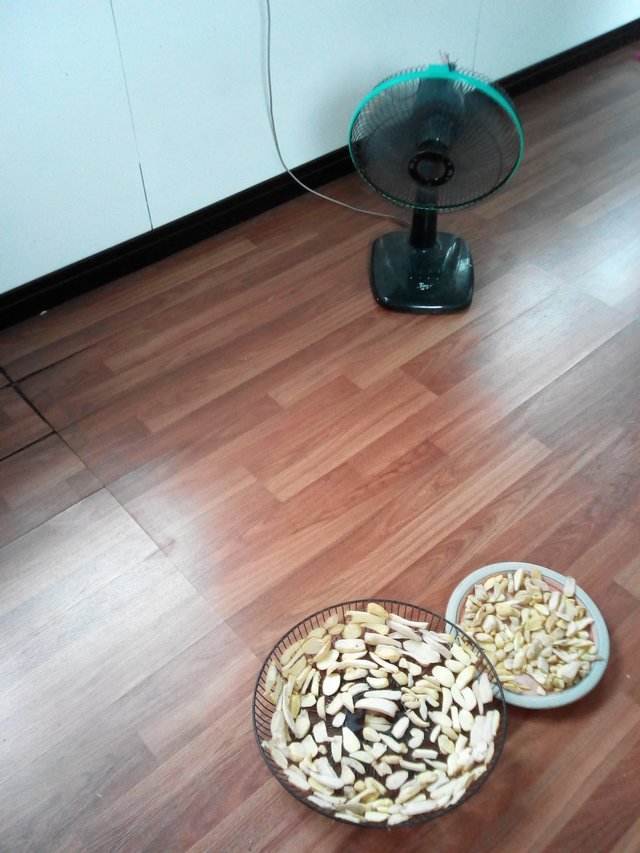 IMG_20200605_142118.jpg
