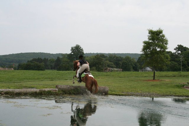 in the water.jpg