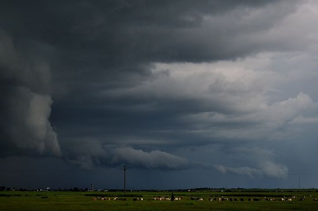 storm391373__480.jpg