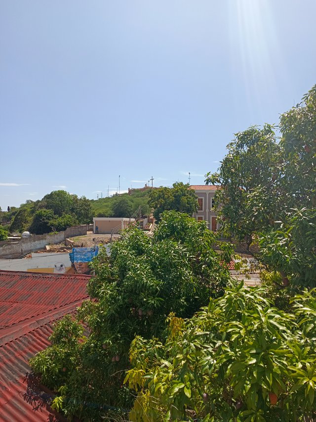 83648.jpg