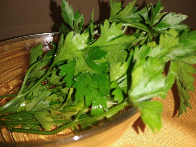 photo_20200729_140810.jpg