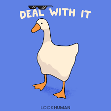 3DAB9581B3154E1688E8B5ACB5E7876C.png