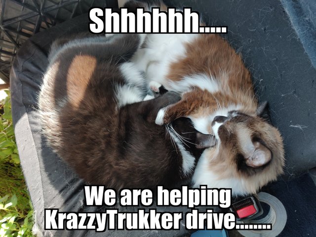 CoPilots Sammi Jo Jessica Hard Work 2018.jpg