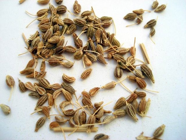 Imagen1.jpg