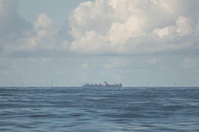 L1009106.jpg