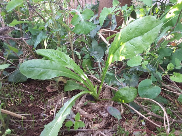 20200514_1104250.jpg