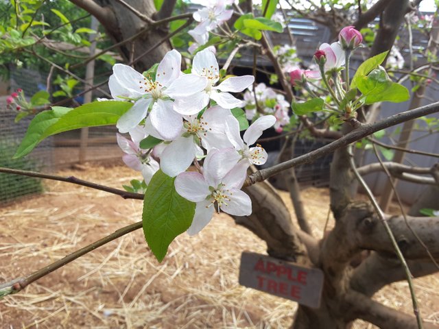 20191015_113557.jpg
