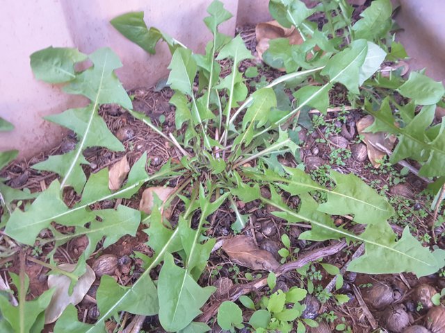 20200516_125738.jpg