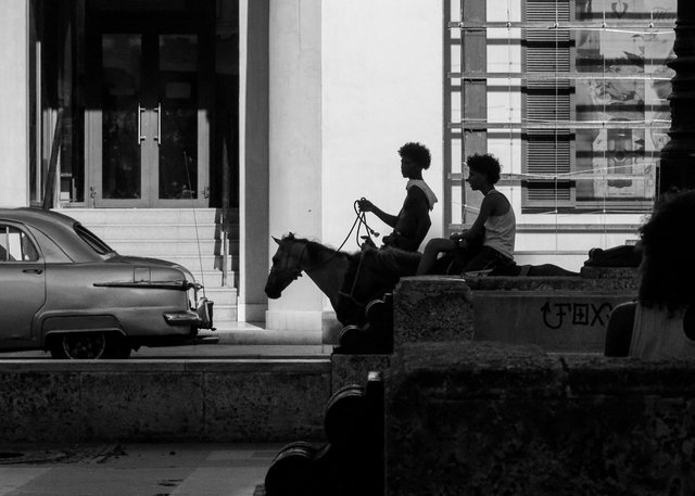 1000554383.jpg