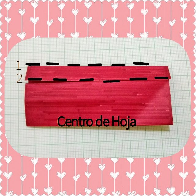 PhotoGrid_1596305510902.jpg