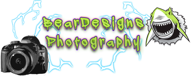 15.png