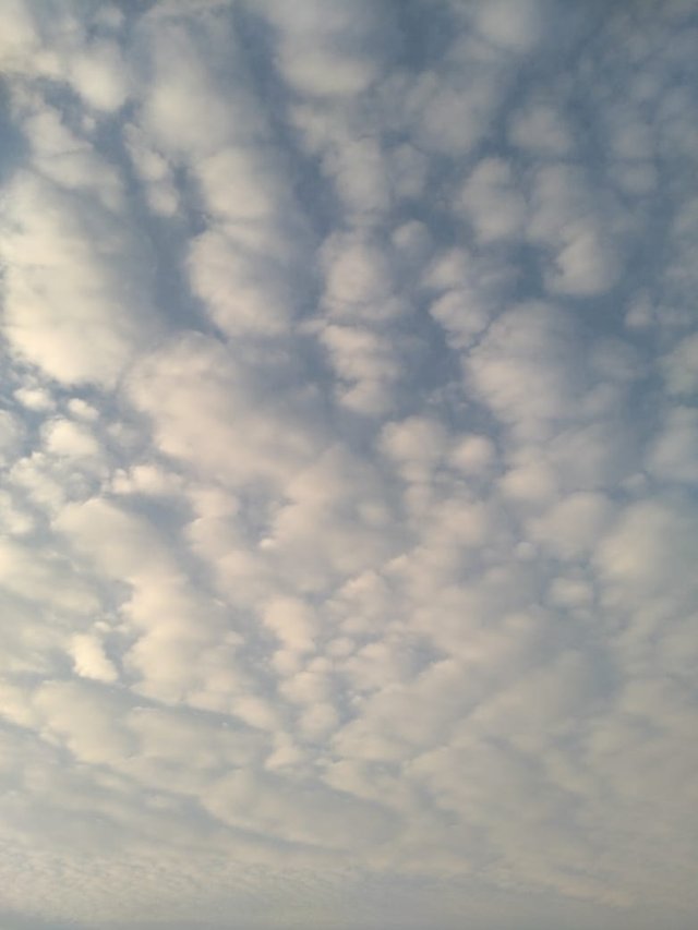IMG20200518WA0022.jpg