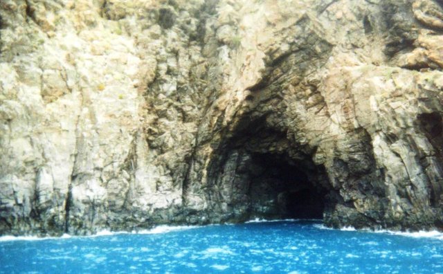 Los Cristianos ballenas1.jpg