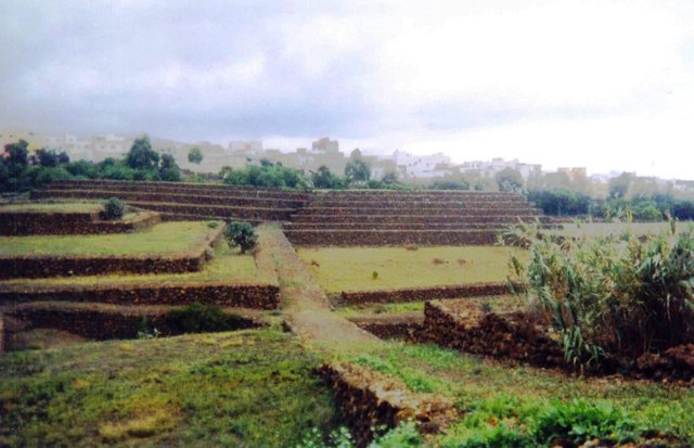 Pirámides terrazas.jpg