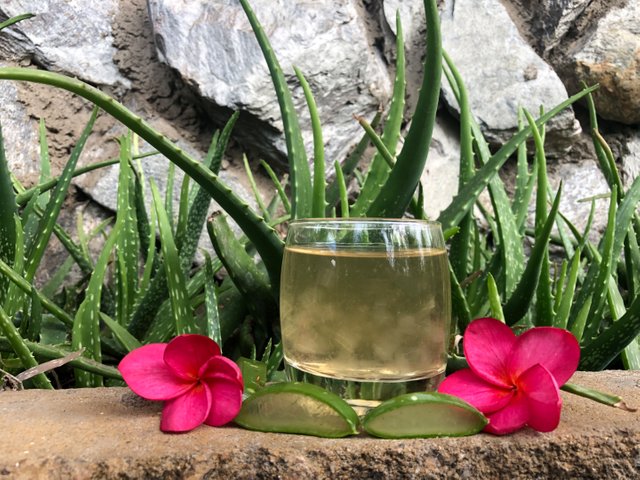 aloe vera juice