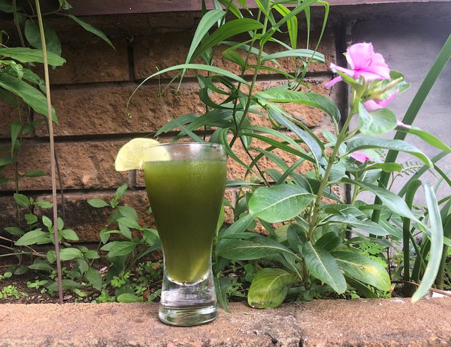 Pennywort juice with lemon juice
