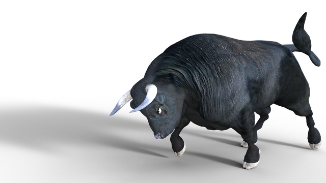 bull5056041_1280.png