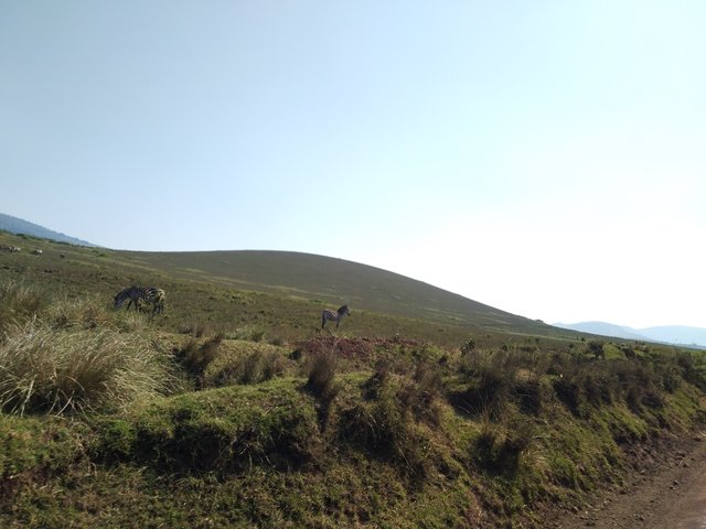IMG20200420WA0084.jpg