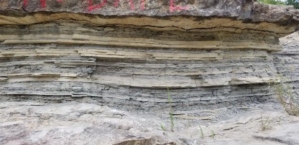 20180715_115557.jpg