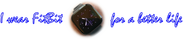 FitBitLogo.png