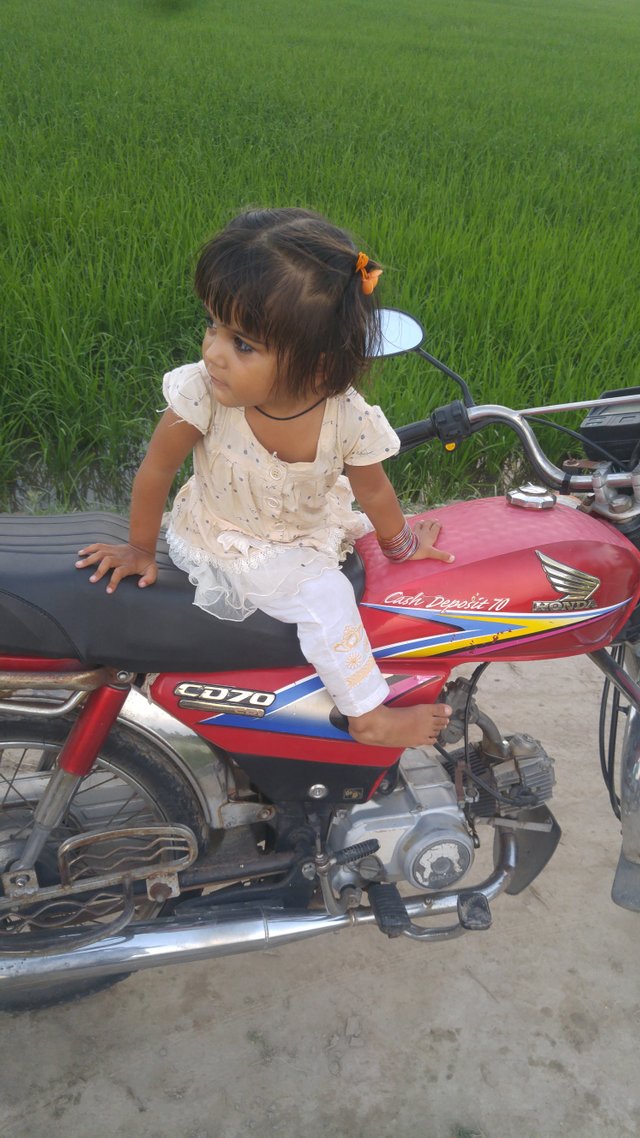 20190730_185457.jpg