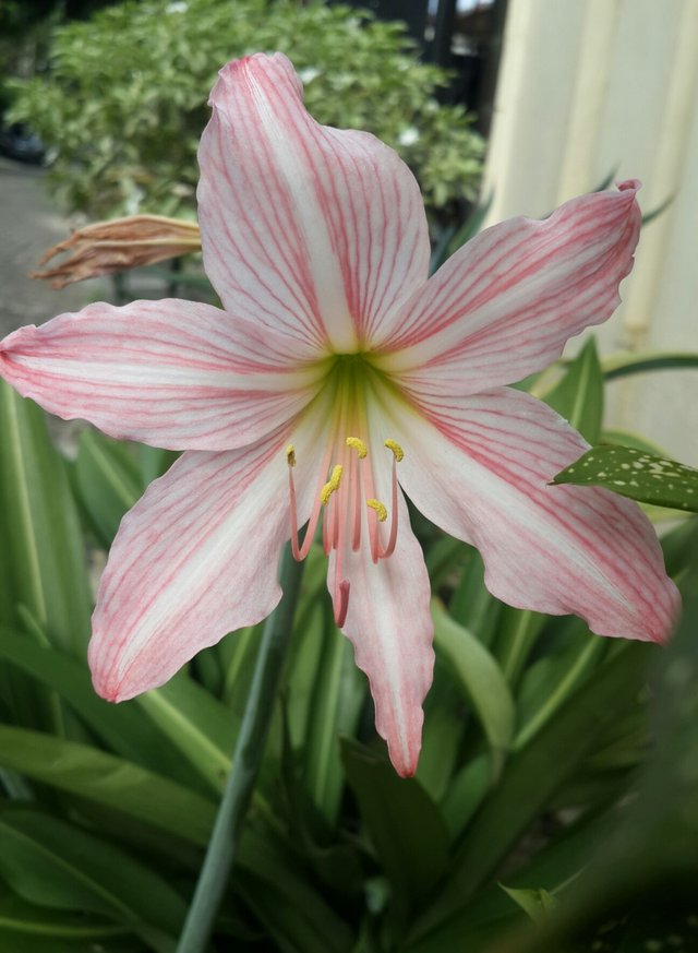 20190417_221026.jpg