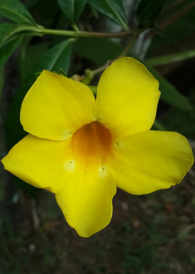 20190417_221324.jpg