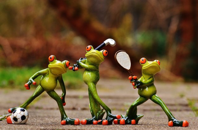 frogs1212209_1920.jpg