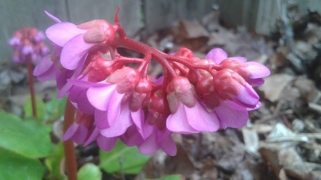 20190411_104412.jpg