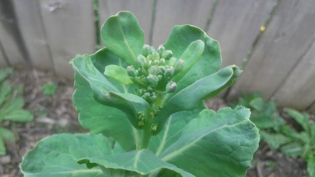 20190404_115428.jpg