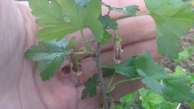 20190409_094419.jpg