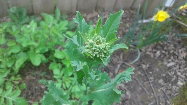 20190404_115416.jpg