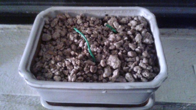 20190308_212739.jpg