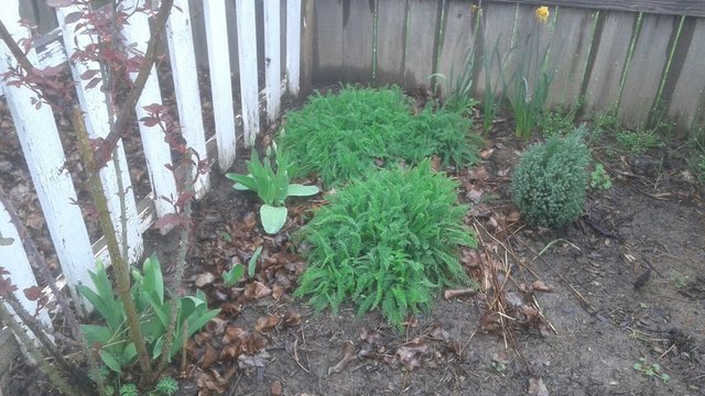 20190405_124326.jpg