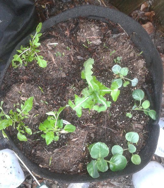 20190405_123543.jpg