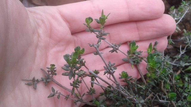 20190411_105605.jpg
