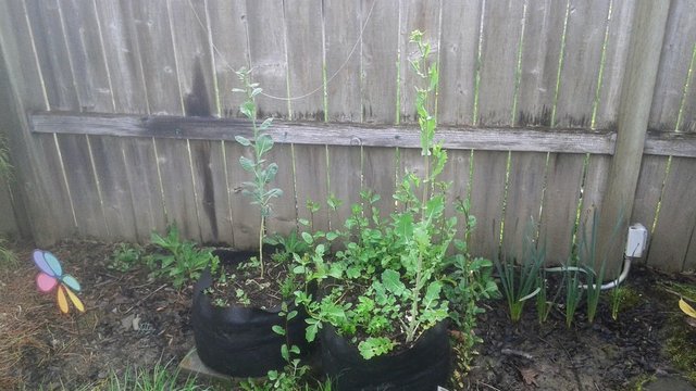 20190411_104534.jpg