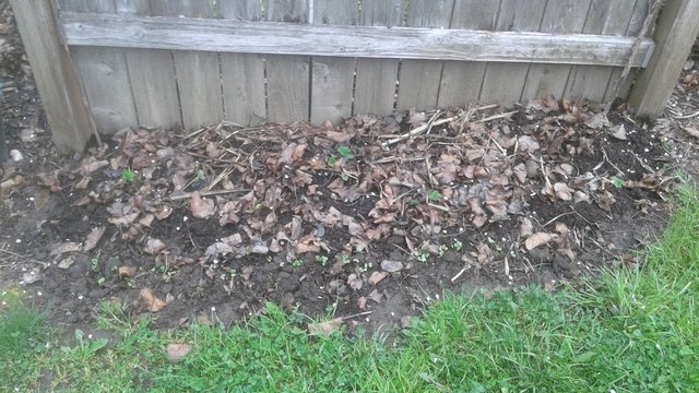 20190411_105102.jpg