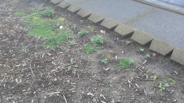 20190411_105746.jpg