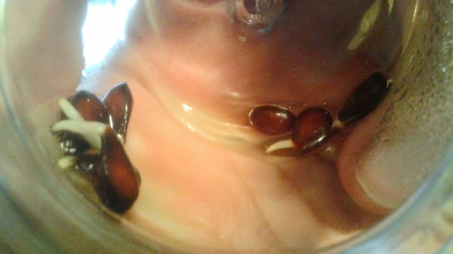 20190306_133514.jpg