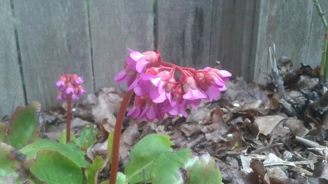 20190411_104407.jpg