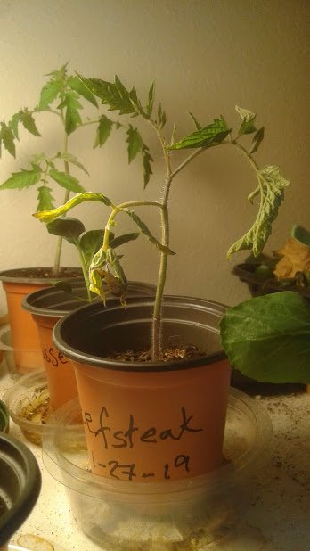20190405_122047.jpg