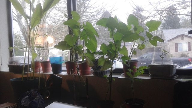 20190405_122216.jpg